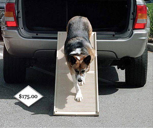 petstep portable pet ramp